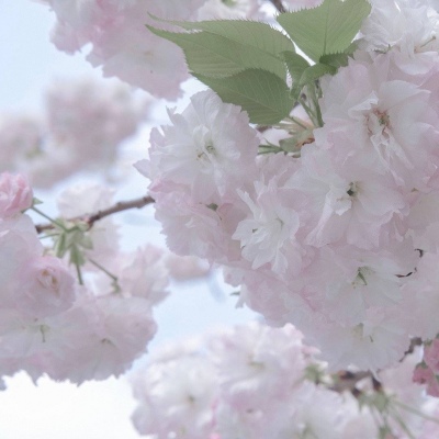 兽设洞穴场景设计兽圈群